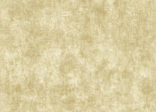 Фото - Обои York Wallcoverings Autumn Dreams - 213634>