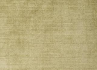 Фото - Ткани Antoine d'Albiousse Velours de Fiacre - 480316>