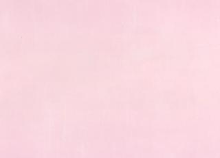 Фото - Обои Esta Home Regatta Crew - 340177>