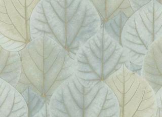 Фото - Обои Candice Olson Modern Nature - 548379>