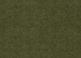 Фото - Ткани Clarke&Clarke Dawson - 530151>