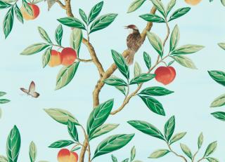 Фото - Обои Harlequin Diane Hill Wallpapers - 536086>