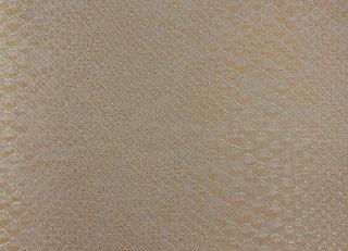 Фото - Обои Epoca Wallcoverings Amazon River - 551547>