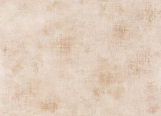 Фото - Обои Caselio Telas 2 - 522929>