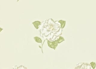 Фото - Обои Sanderson Maycott - 188065>