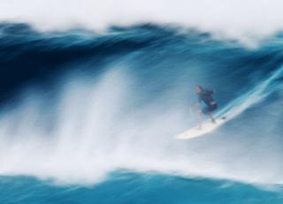 Фото - Обои Mr Perswall Adventure - 234450>