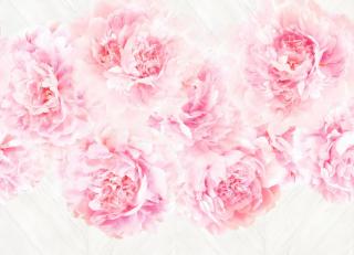 Фото - Обои Marburg Smart Art - 517596>