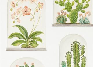 Фото - Обои Sanderson Glasshouse - 410804>