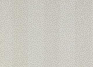 Фото - Обои Colefax and Fowler Chartworth Stripes  - 384151>