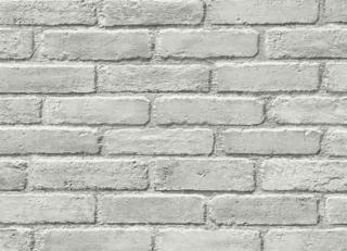 Фото - Обои Carl Robinson Edition 17 - 557869>