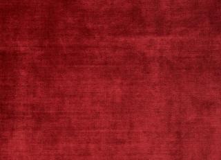 Фото - Ткани Antoine d'Albiousse Velours de Fiacre - 480336>