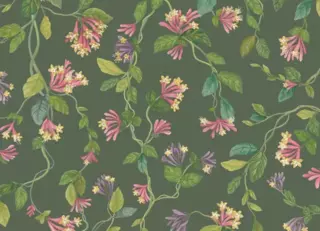 Фото - Обои Cole & Son Selection of Hummingbirds - 626740>