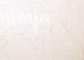 Фото - Обои Maya Romanoff Mesa - 394520>