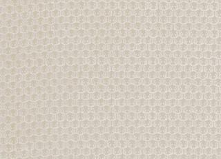 Фото - Ткани Clarke&Clarke Salon - 404771>