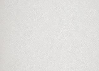 Фото - Обои Nobilis Esprit de Materieres - 415237>