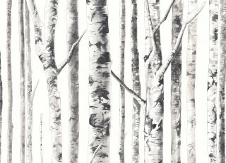 Фото - Обои Mayflower by Kt Exclusive Solaris - 350031>