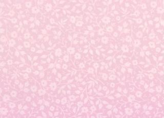 Фото - Обои Eijffinger Pip new 2011 - 184633>