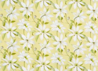 Фото - Ткани Prestigious Textiles Bloom - 441199>