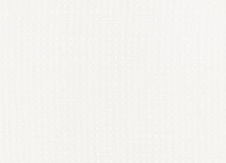 Фото - Ткани Villa Nova - 599970>