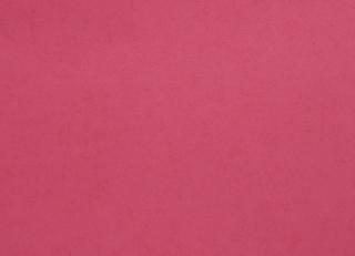 Фото - Обои Caselio Girls Only - 227146>