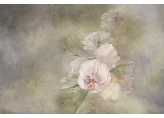 Фото - Обои Ortograf Flower dreams - 476744>