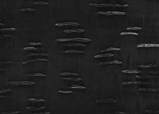 Фото - Обои для стен Holly Hunt - 460113>