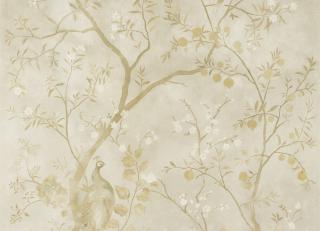 Фото - Обои Zoffany Kempshott - 327182>