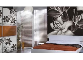 Фото - Обои Glamora Essence - 225514>