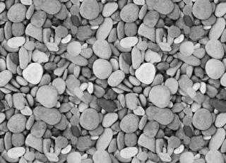 Фото - Обои Mr Perswall Urban Nature - 235262>