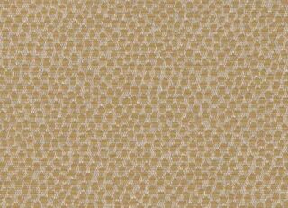 Фото - Обои Arlin Ambrosia - 627879>