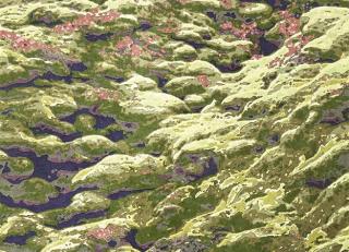 Фото - Ковры Tapis Rouge Planet Earth - 591438>