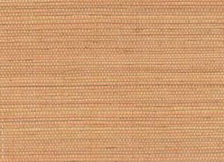 Фото - Обои Elitis Tribus - 621579>