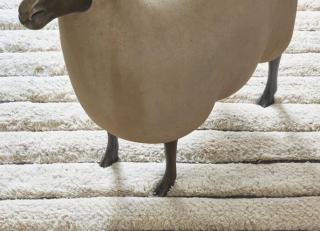 Фото - Ковры Toulemonde Bochart Linea  - 566367>