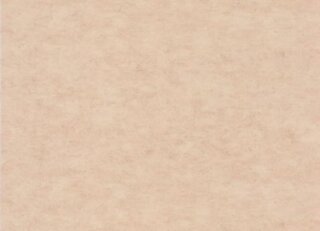 Фото - Обои Caselio Beton 2 - 631915>