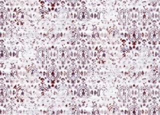 Фото - Обои Elitis Kandy - 258316>