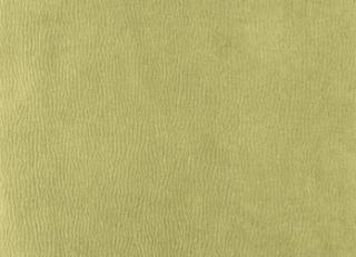 Фото - Ткани Houles Ginkgo - 465203>