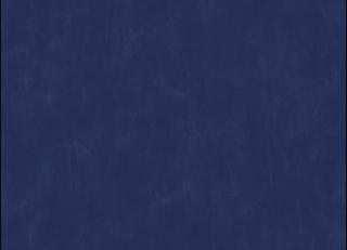 Фото - Обои Esta Home Regatta Crew - 340184>