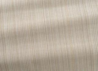 Фото - Ткани Braquenie - 303077>