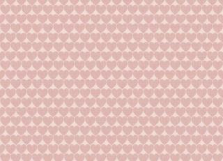 Фото - Обои Parato Cristiana Masi Mondo Baby - 540259>