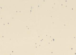 Фото - Ткани Casamance Edinburgh 4 - 556480>