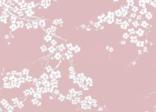 Фото - Обои Gaston y Daniela Origen Dos - 554555>