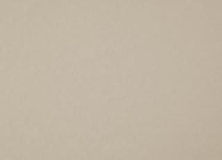 Фото - Ткани Дом CARO Sheerful - 533325>