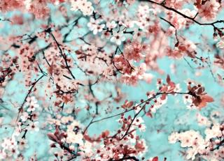 Фото - Обои Jean Paul Gaultier Voyages Voyages Papiers - 381191>