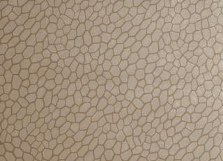 Фото - Обои Clarke&Clarke Reflections - 257227>