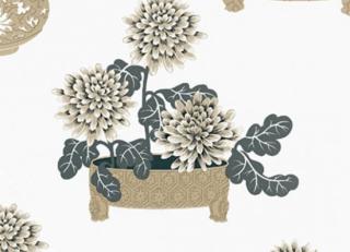 Фото - Обои Equipo DRT Encadenados - 559336>