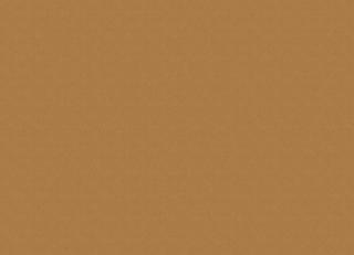 Фото - Обои для стен Chivasso - 578794>