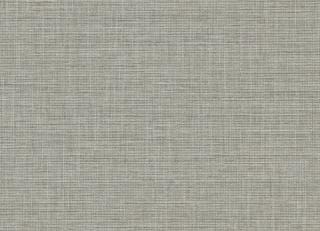 Фото - Обои Harlequin Folia - 187463>