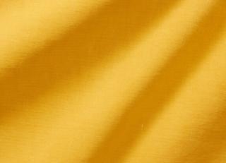 Фото - Ткани Zimmer + Rohde Canvas - 549309>