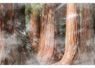 Фото - Обои Wall&Deco Gio Pagani - 199865>