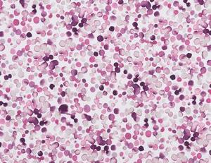 Фото - Ткани Studio G Palmero - 512957>